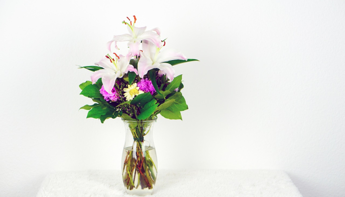 万能开挂辅助“开心武汉花确实真的有挂”其实确实有挂