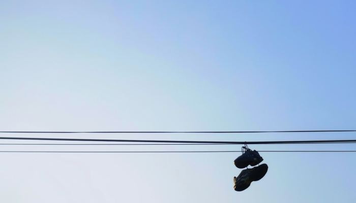 辅助开挂神器“炫酷众娱辅助器下载”(透视)其实确实有挂