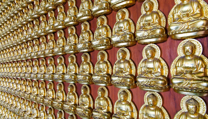 辅助开挂神器“微乐云南麻将万能开挂器”其实确实有挂