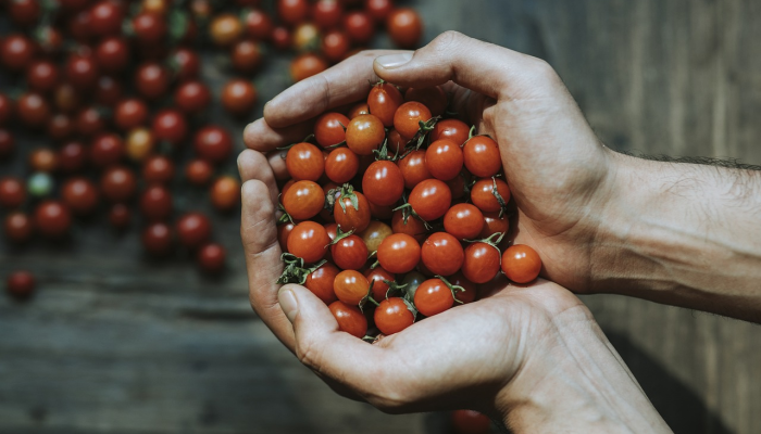 最新疫情沈阳大连：防疫最新动态与健康生活指南