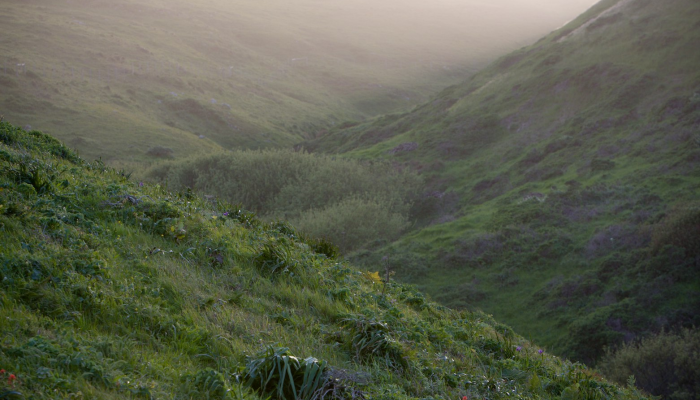 陈溪疫情最新:保护健康,共筑安全 陈溪疫情最新:保护健康,共筑安全