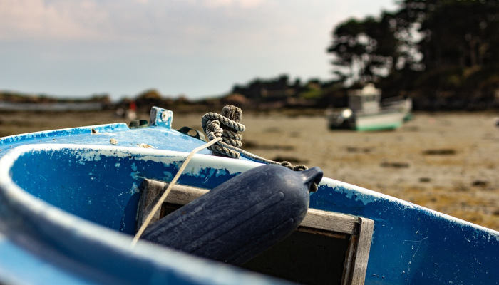 郑州疫情最新言论：为健康与安全保驾护航