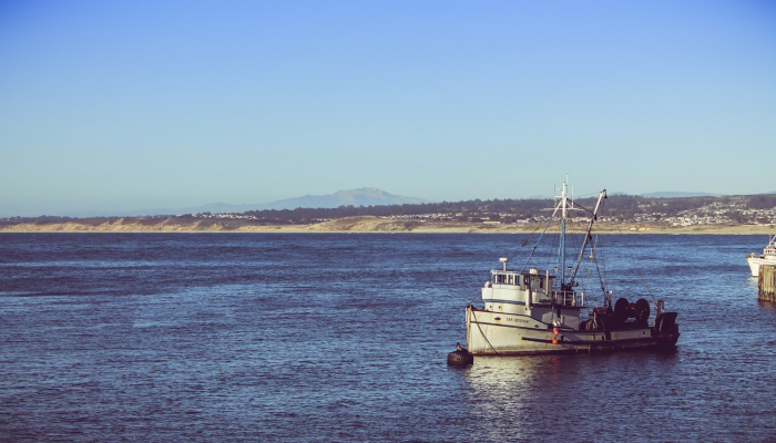 闵行区疫情最新信息：保护健康，从科学防护和健康生活方式开始