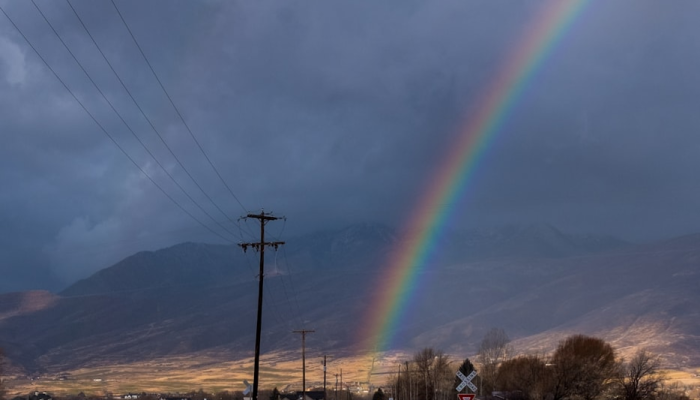 海洋疫情最新数据:全球海洋健康与安全的关键报告 海洋疫情最新数据:全球海洋健康与安全的关键报告