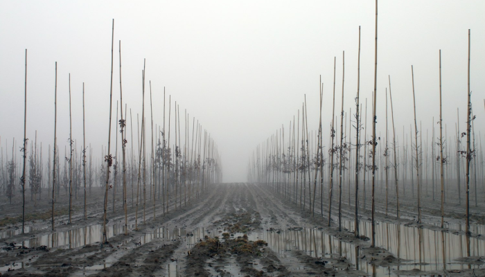 探索南京最新疫情与江宁天气，全面了解你所关心的一切