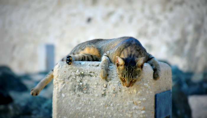 武林区疫情最新:全面了解最新动态与防疫措施 武林区疫情最新:全面了解最新动态与防疫措施