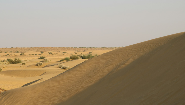 厦门最新翔安疫情防控 厦门最新翔安疫情防控