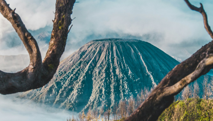 华山疫情最新：最新动态与防护指南