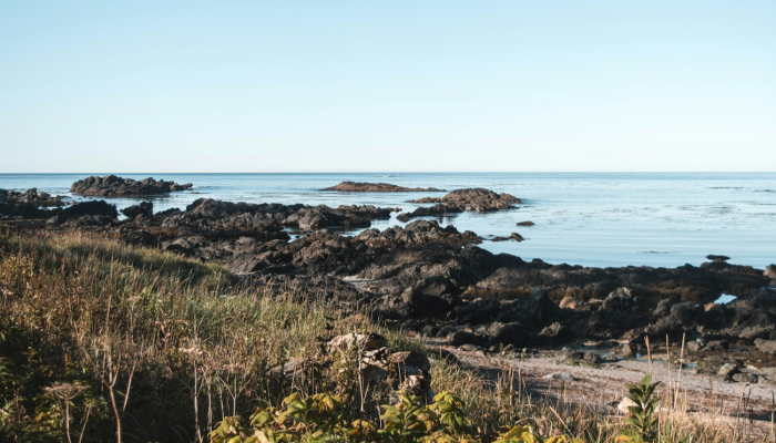 蓬莱长岛疫情最新:健康守护,共同抗疫 蓬莱长岛疫情最新:健康守护,共同抗疫