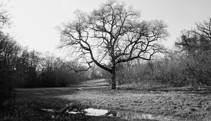 骆驼街道田湖最新疫情：保护健康，共同努力