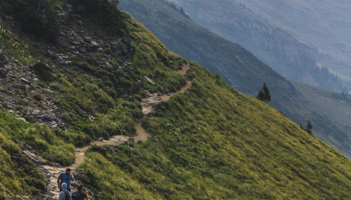 麻城最新疫情旅游：重启安全健康的探险之旅