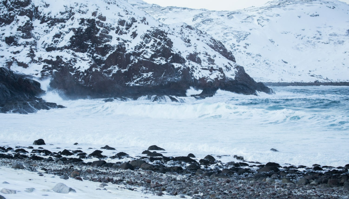 巴伦支海最新疫情消息：保护健康与环境的双重使命