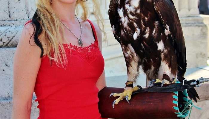 金国疫情深圳最新消息：最新动态与应对策略解读